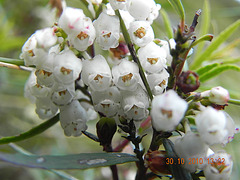 DSCN3987