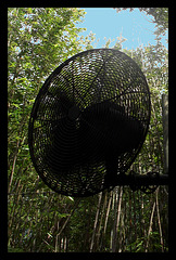 Pole outdoor big fan / Ventilateur géant - Recadrage
