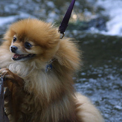 Celeste at White Pines 7/15/07 Celeste at White Pines 7/15/07
