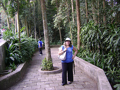 DSC06234