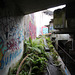 Saint Peter's Seminary, Cardross, Argyll and Bute, Scotland