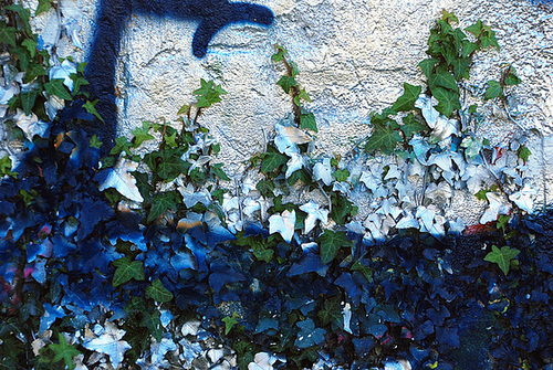 Graffeur peux respectueux de la nature
