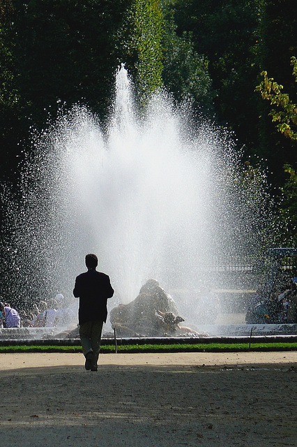 Versailles  en fête