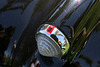 1959 Rolls Royce Silver Cloud I (9423)
