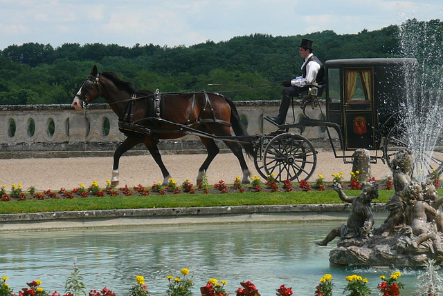 Dans le parc du chateau de Valencay