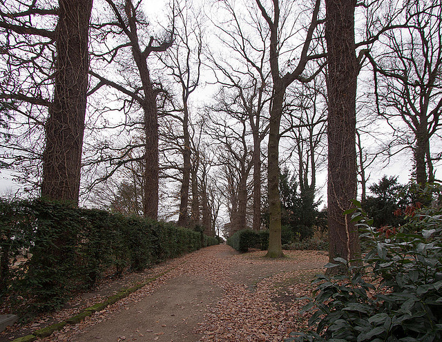 20121125 1695RWw Schlosspark