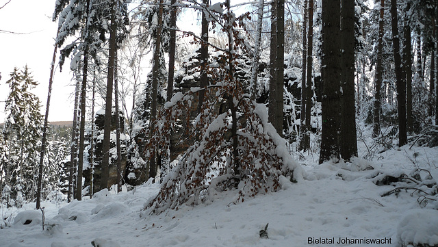 Bielatal im Schnee