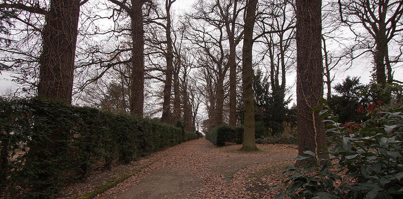 20121125 1696RWw Schlosspark