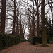 20121125 1697RWw Schlosspark