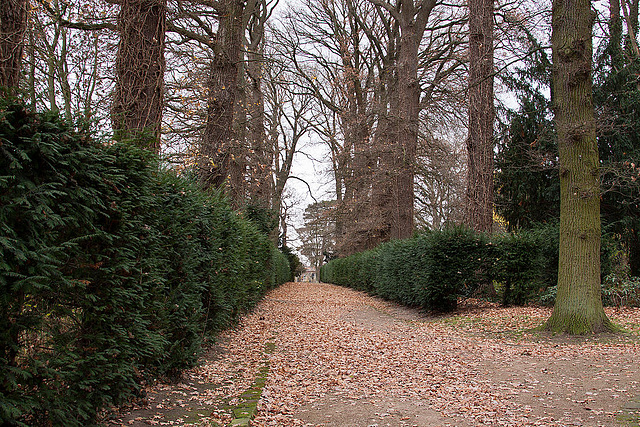 20121125 1698RAw Schlosspark