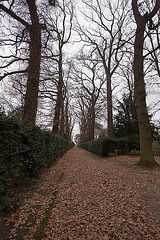 20121125 1701RWw Schlosspark