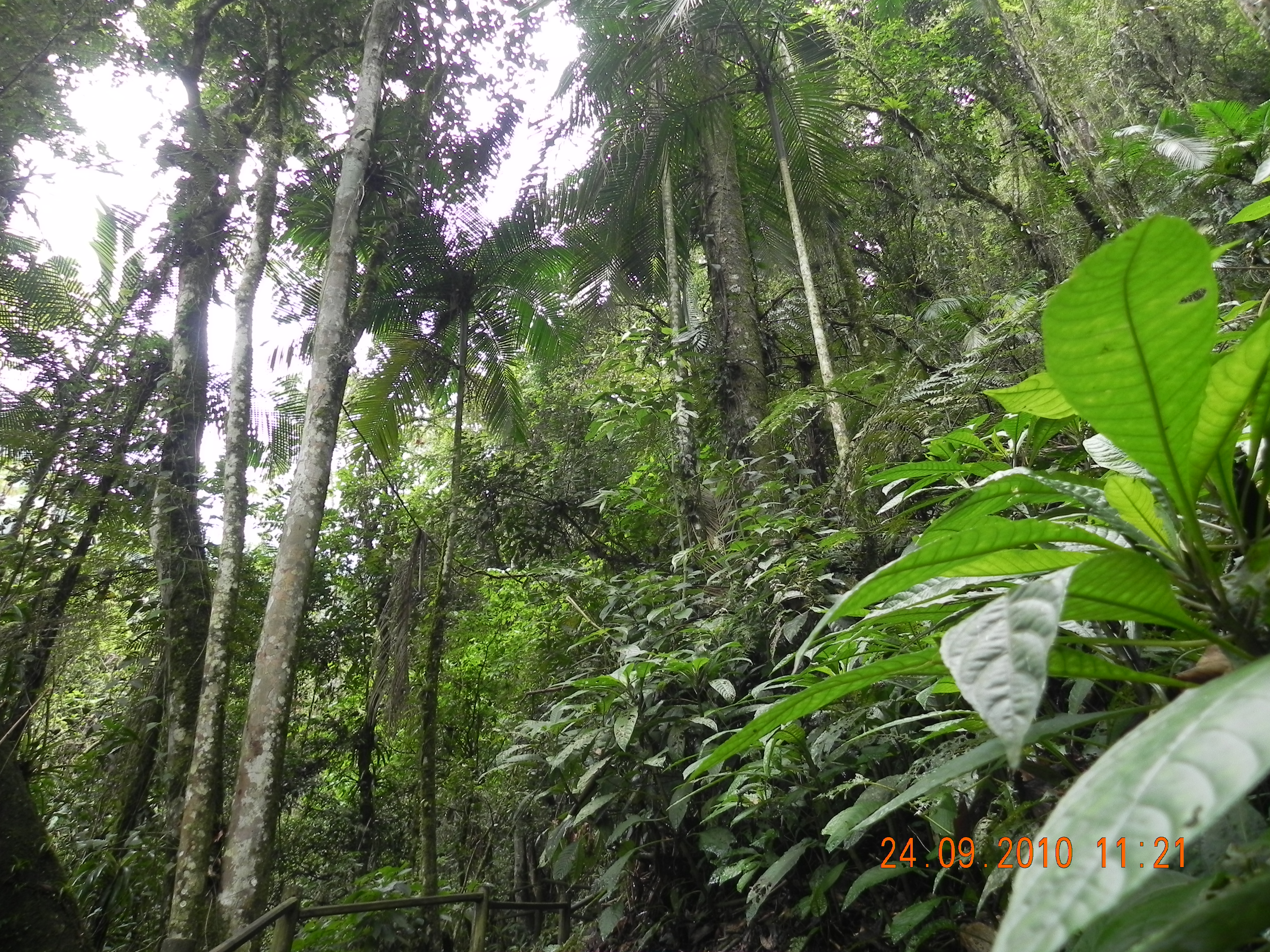 DSCN0896