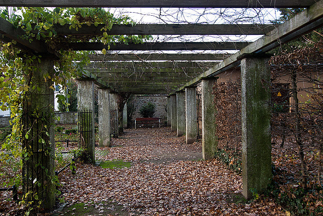 20121125 1732RWw Pergola