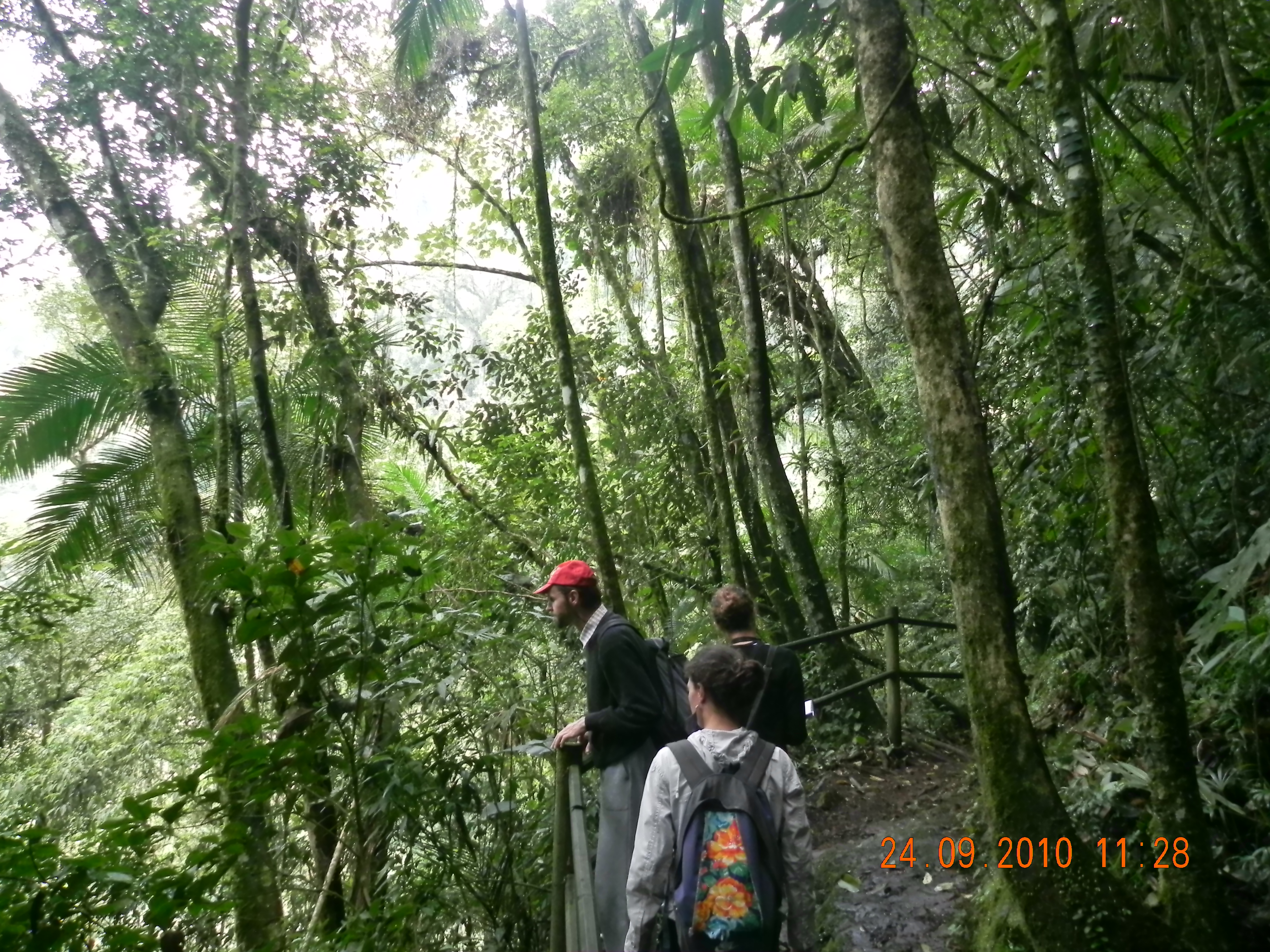 DSCN0916