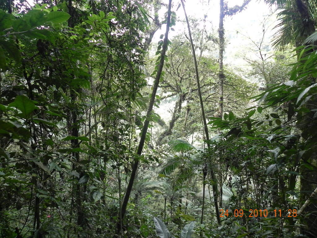 DSCN0917