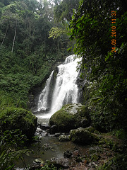 DSCN0935