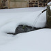 au pied de la fontaine, un manteau d'hermine