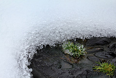 Concrétions de glace (4)