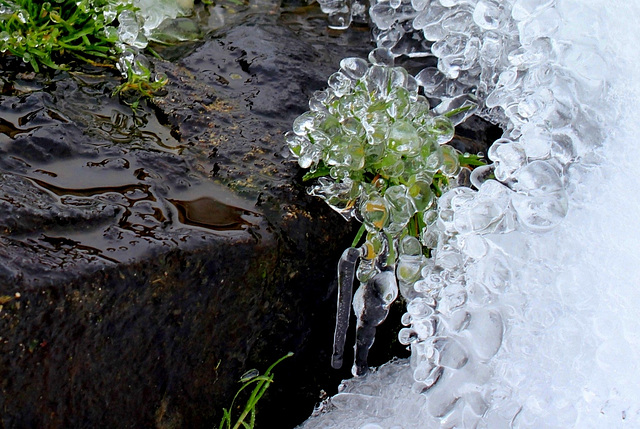 Concrétions de glace