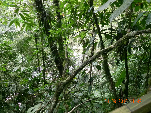 DSCN0963