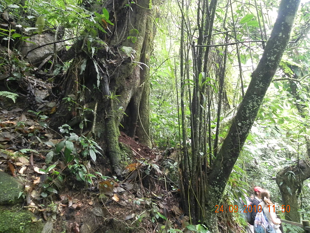 DSCN0970