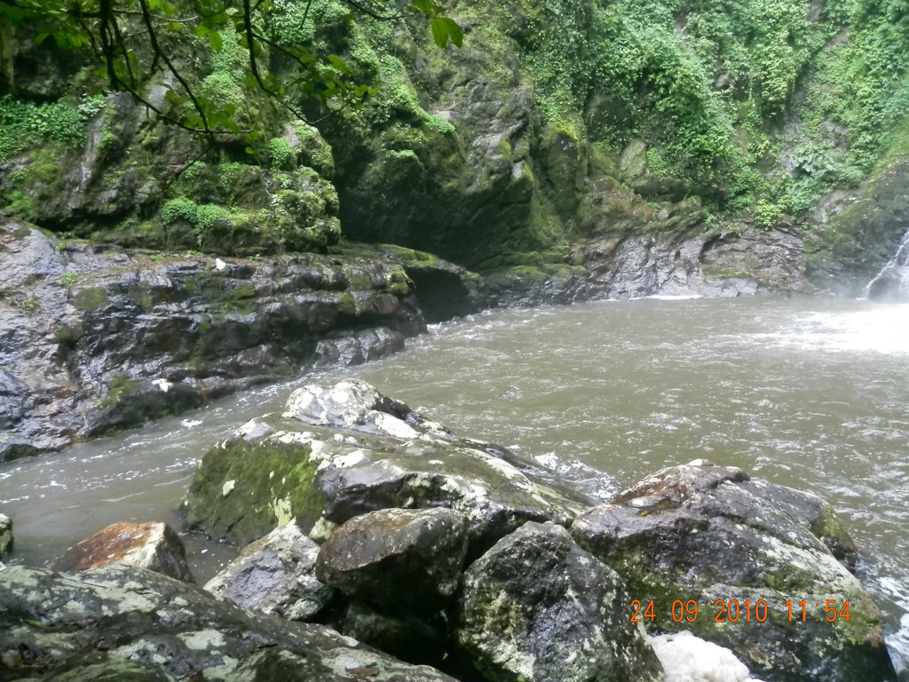 DSCN0977