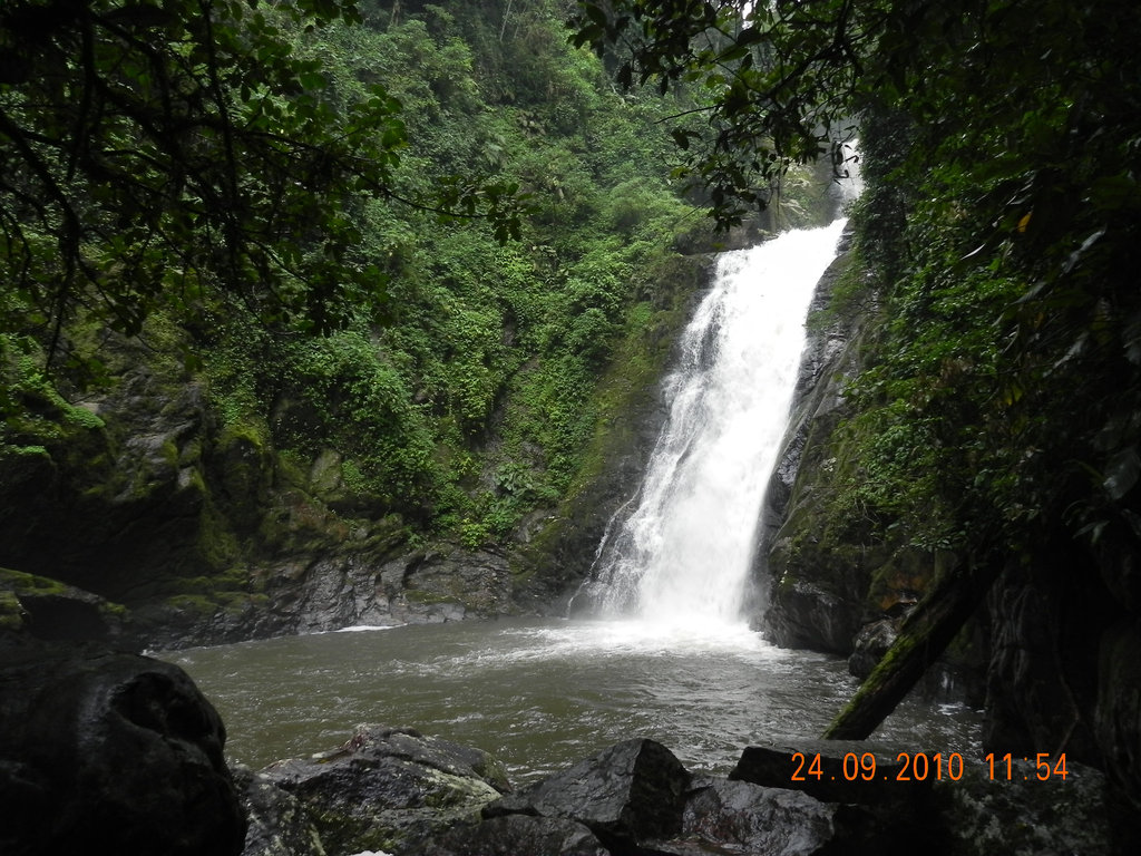 DSCN0980