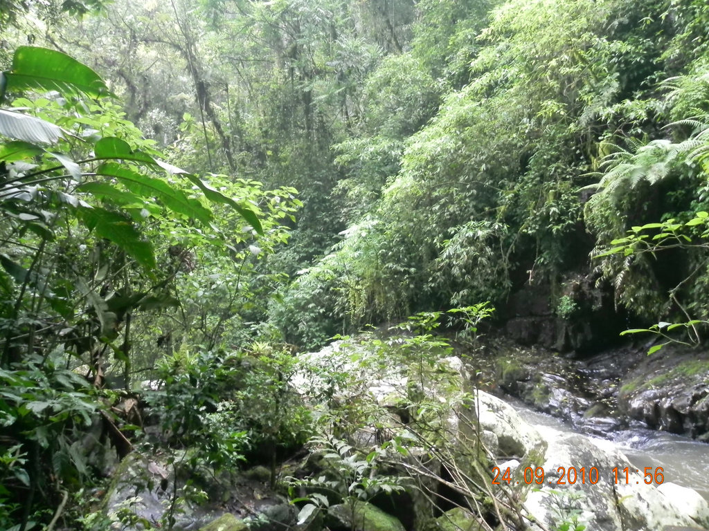 DSCN0984