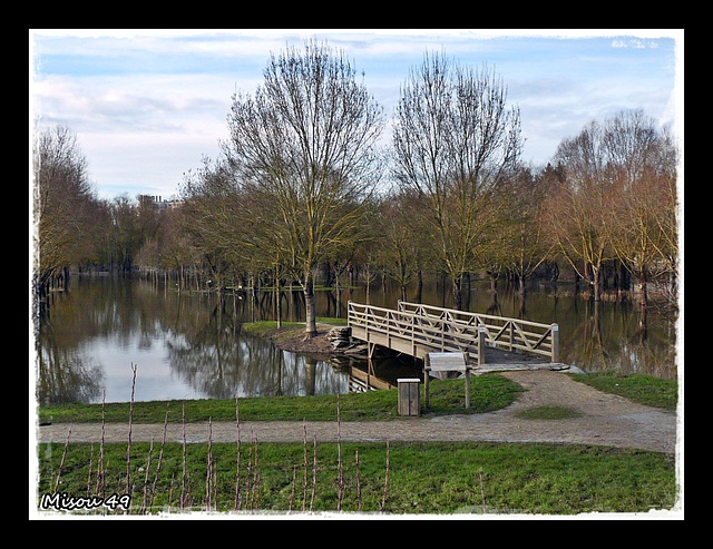 PARC de BALZAC le 12 janvier 2013