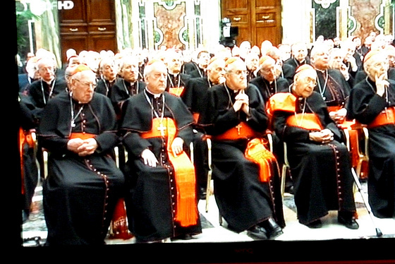 Abschied von Papst Benedikt XVI - am 28.2.2013 Kardinäle