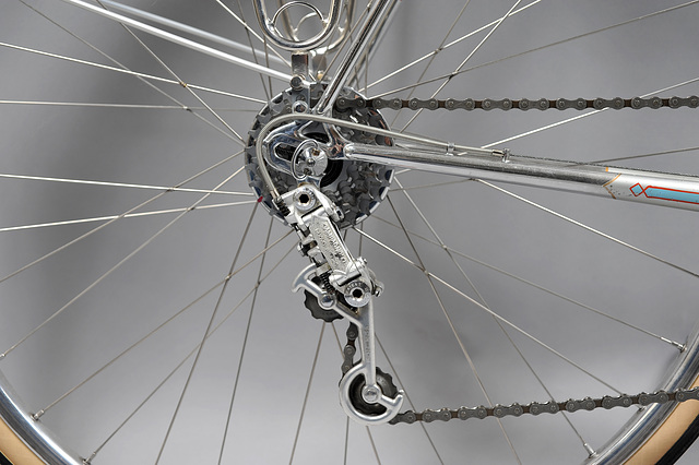 Campagnolo Record derailleur with added long cage. 12-36 SunTour New Winner freewheel (2013)
