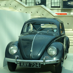 A Beetle at the British Museum (5) - 10 October 2014