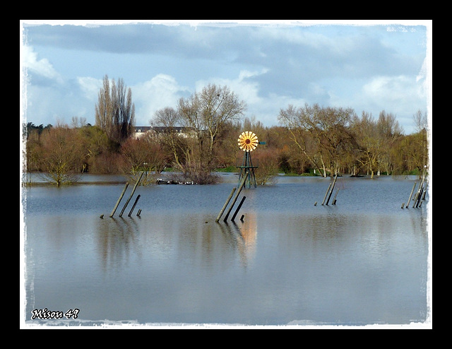 PARC de BALZAC le 11 février 2013