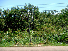 DSC03769 - Ghost Bike Jurerê