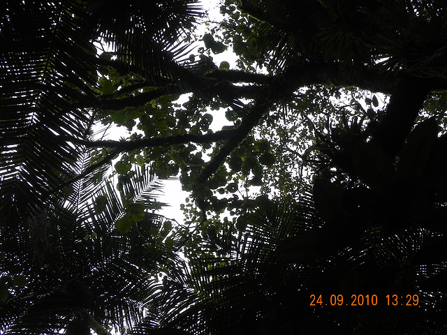 DSCN1124