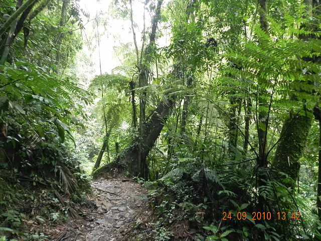 DSCN1153