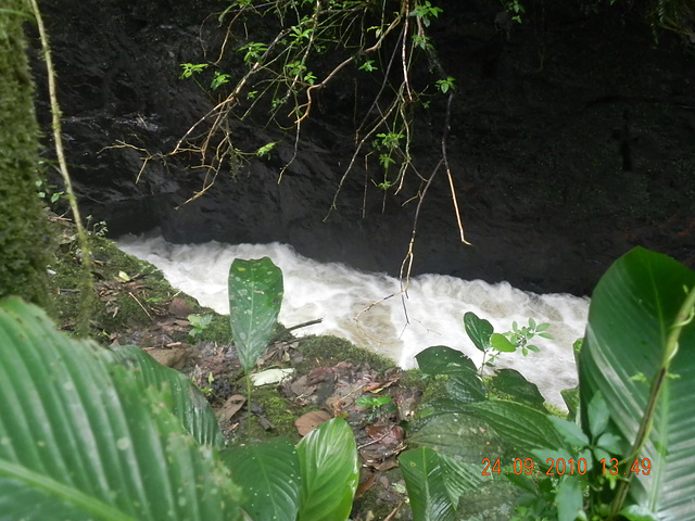 DSCN1164