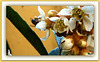 Invités surprise..1