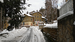 Schweizermühle