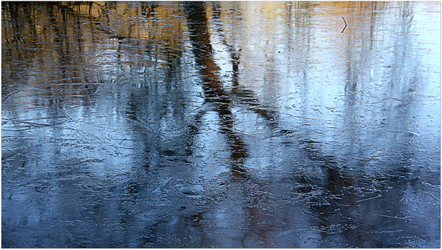 Reflets gelés