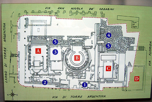 L'Area Sacra di Largo Argentina