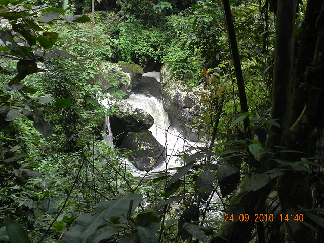 DSCN1273