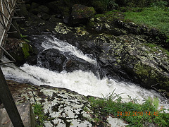 DSCN1286