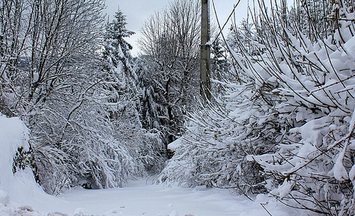 Chemin de bourg