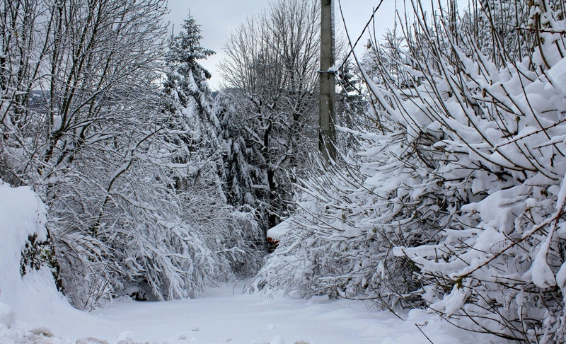 Chemin de bourg