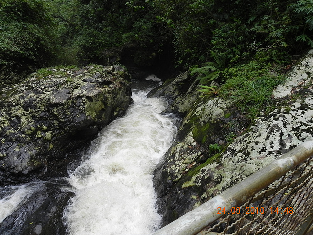 DSCN1287