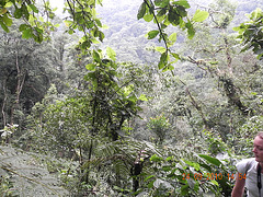 DSCN1298