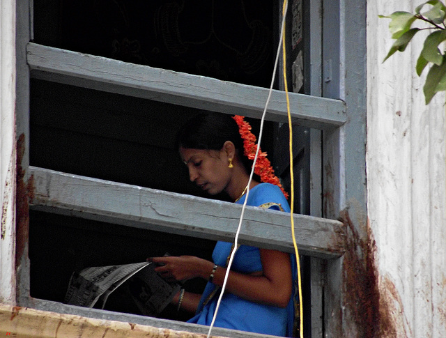 Woman reading  at a window