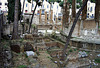 L'Area Sacra di Largo Argentina