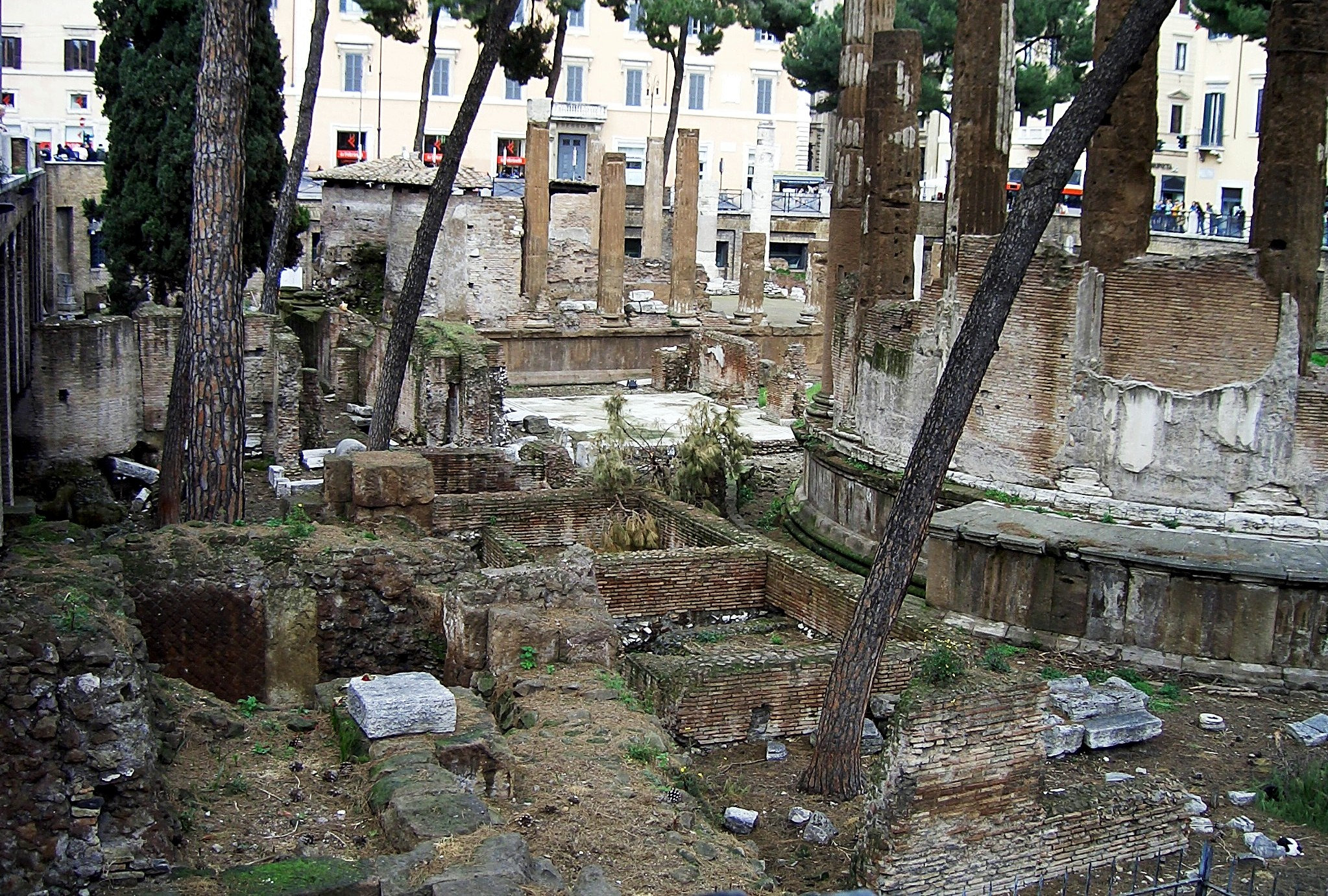 L'Area Sacra di Largo Argentina